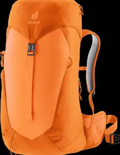 Deuter AC Lite 22 SL