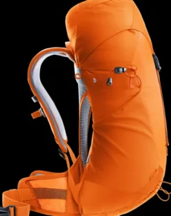 Deuter AC Lite 22 SL