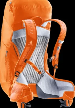 Deuter AC Lite 22 SL