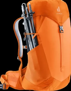 Deuter AC Lite 22 SL
