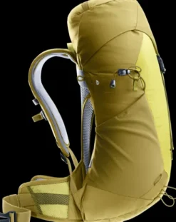 Deuter AC Lite 22 SL