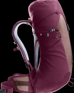 Deuter AC Lite 22 SL
