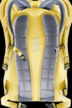 Deuter Stepout 22