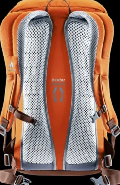 Deuter Walker 24